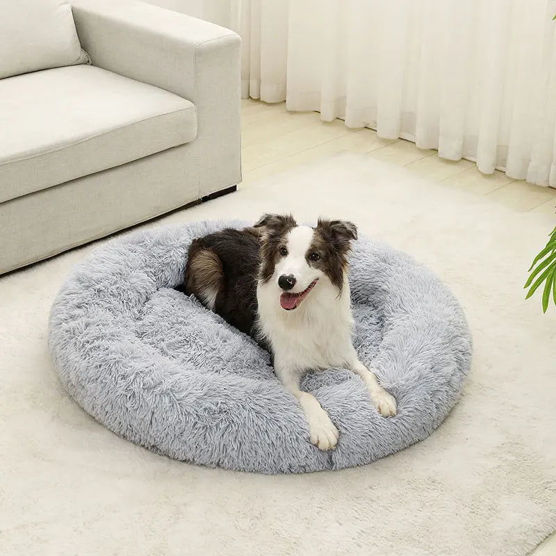 Long Plush Best Pet Dog Bed For Dogs - Pawsey Pets